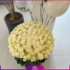 100 شاخه گل رز سفید به همراه بادکنک