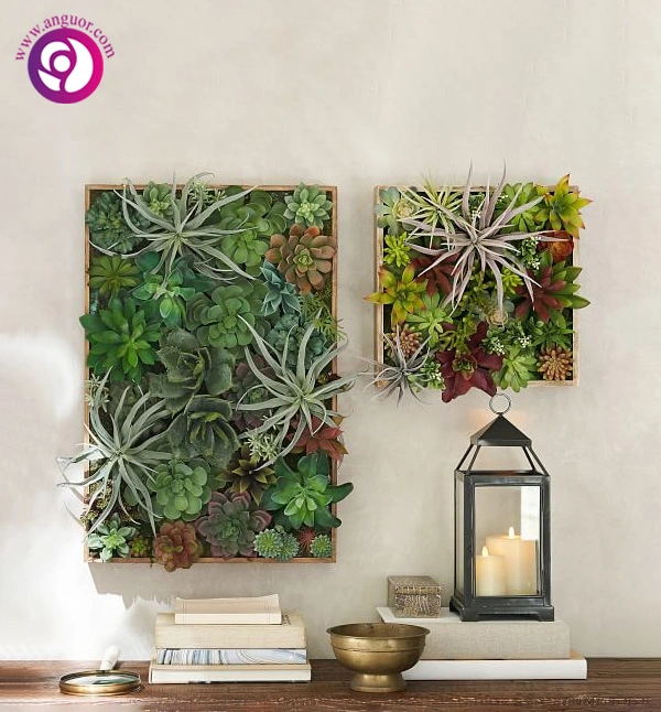 دیوارکوب ساکولنت عمودی