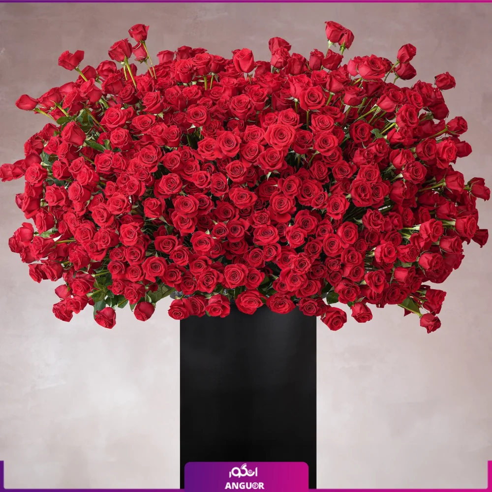 باکس گل 833 شاخه رز قرمز (طرح بین الملل کلاسیک) - Image 2