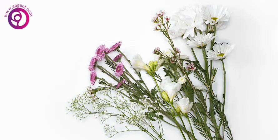 ایده‌هایی برای انتخاب گل و شاخ و برگ‌ها