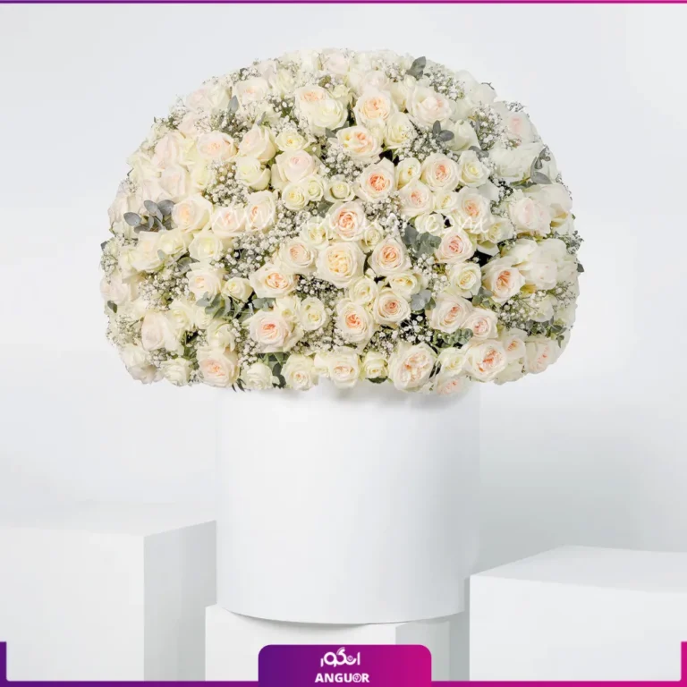 باکس گل خواستگاری گل رز و رز مینیاتوری به رنگ سفید