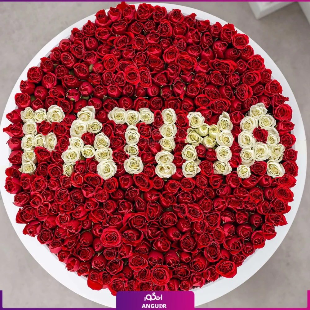خرید + قیمت باکس گل رز قرمز و سفید فاطما-