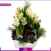 گلدان بالتازار (تحویل در فرانسه)