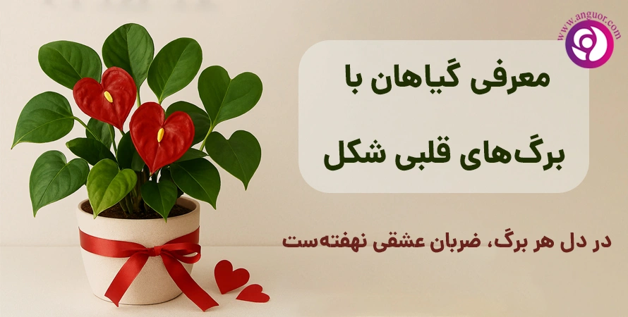 معرفی گیاهان با برگ های قلبی شکل